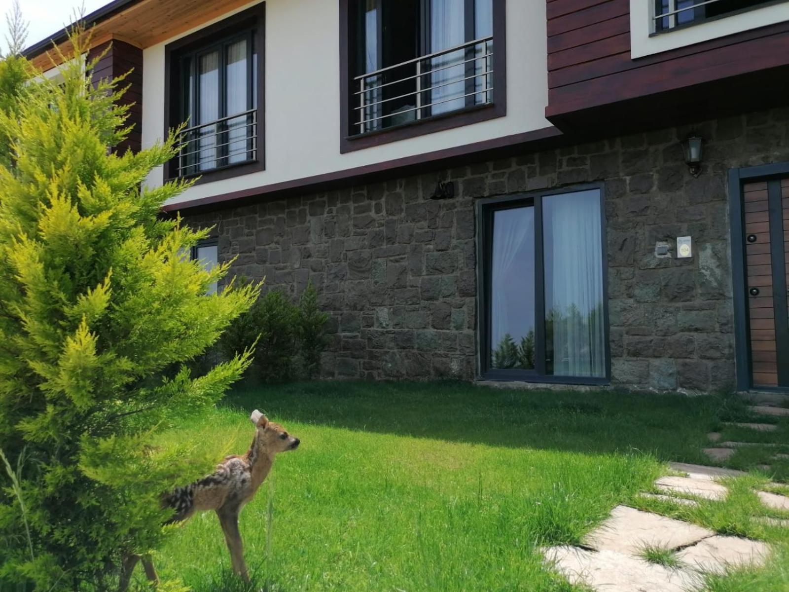 Royal Villa Trabzon Zewnętrze zdjęcie